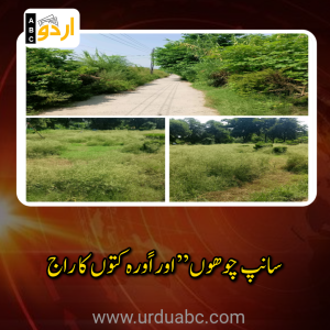 سانپ ”چوھوں اور اًورہ کتوں کا راج