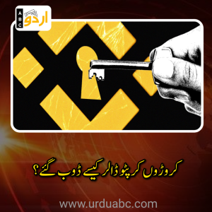 دنیا کی سب سے بڑی رمز نگار کرنسی کی منڈی بائنانس پر بڑا سائبر حملہ: ۵ ارب ۷۰ کروڑ ڈالر کی منتقلی سے عالمی مالیاتی دنیا میں سنسنی