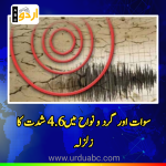 Earthquake of 4.6 recorded at swat