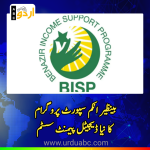 BISP digital payment system