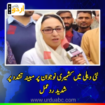 Dr Andrabi condemns alleged assault on Kashmiri