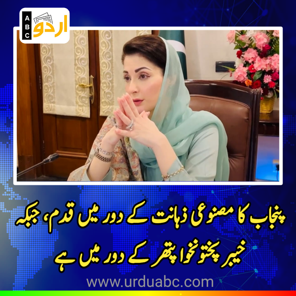 Punjab entering AI era while KP remains in ‘stone age’
