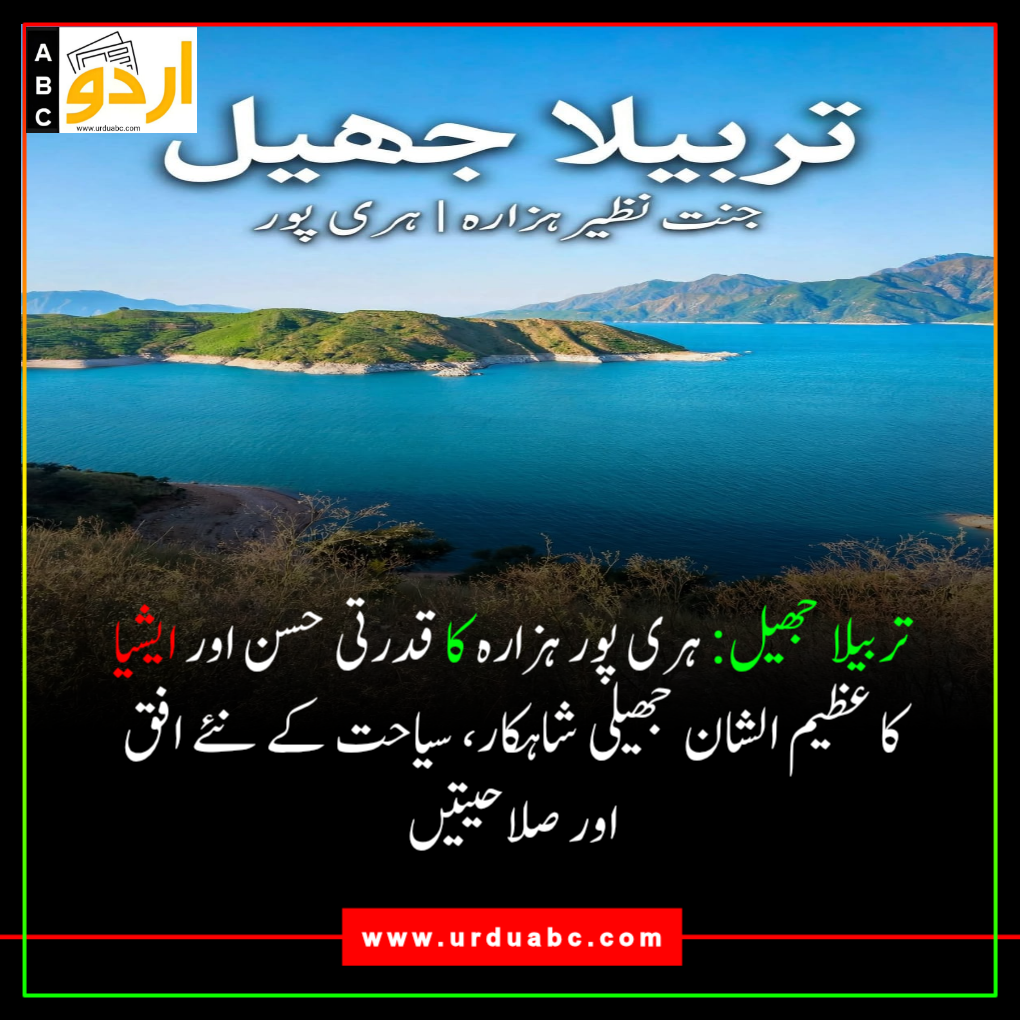 The Tarbela Lake