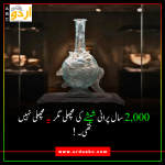 2000 years old glass fish